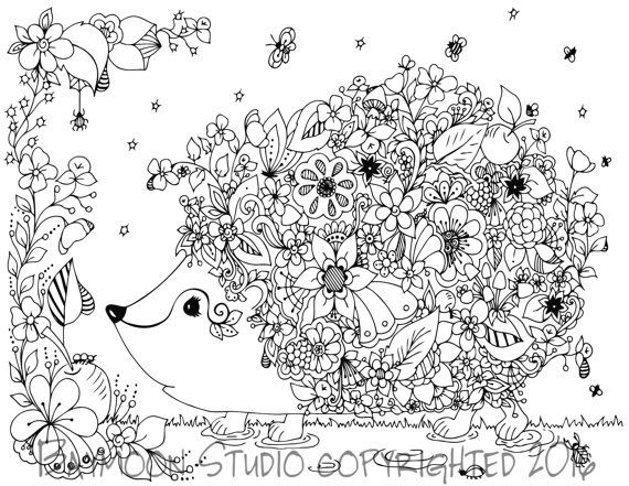 Hedgehog Coloring Page