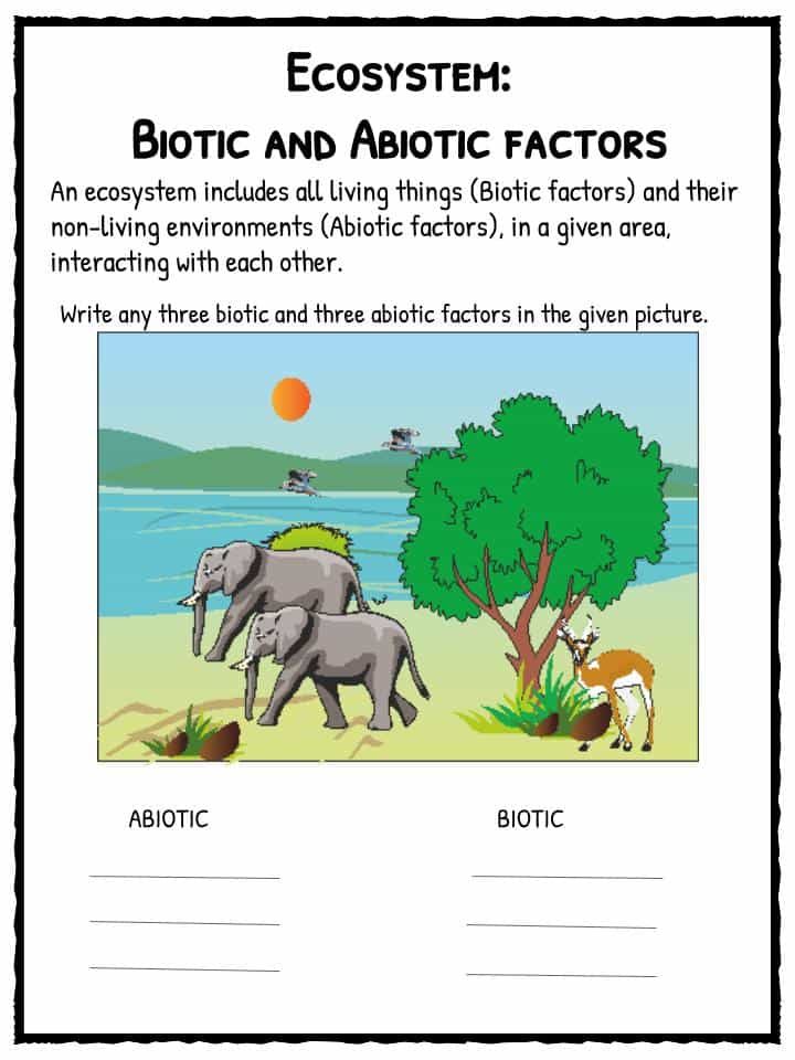 Ecosystem Worksheet For Kids