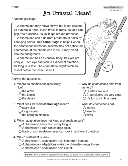 Animals Worksheet 3rd Grade