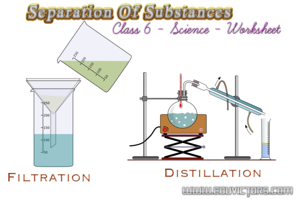 Cbse Class 6 Science Worksheets