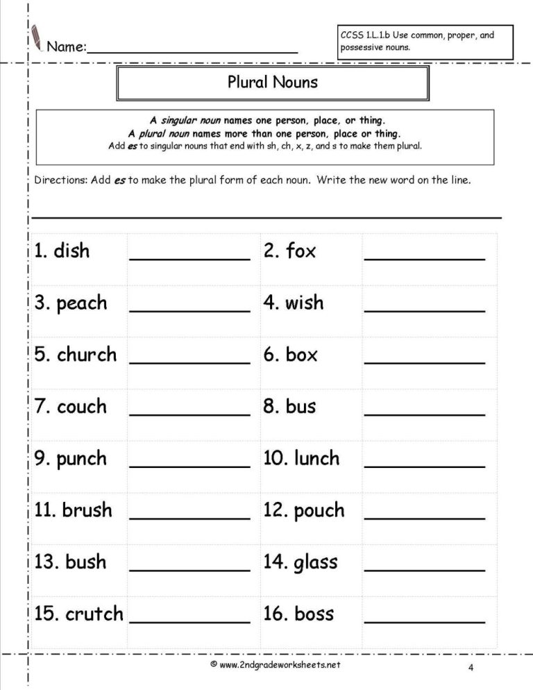 Singular And Plural Nouns Worksheet Grade 6