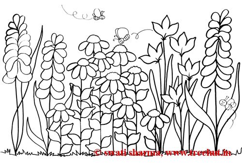 Flower Garden Coloring Pages