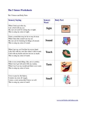 Senses Worksheets For Grade 3