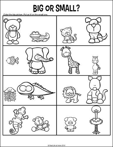 Opposites Worksheets Free