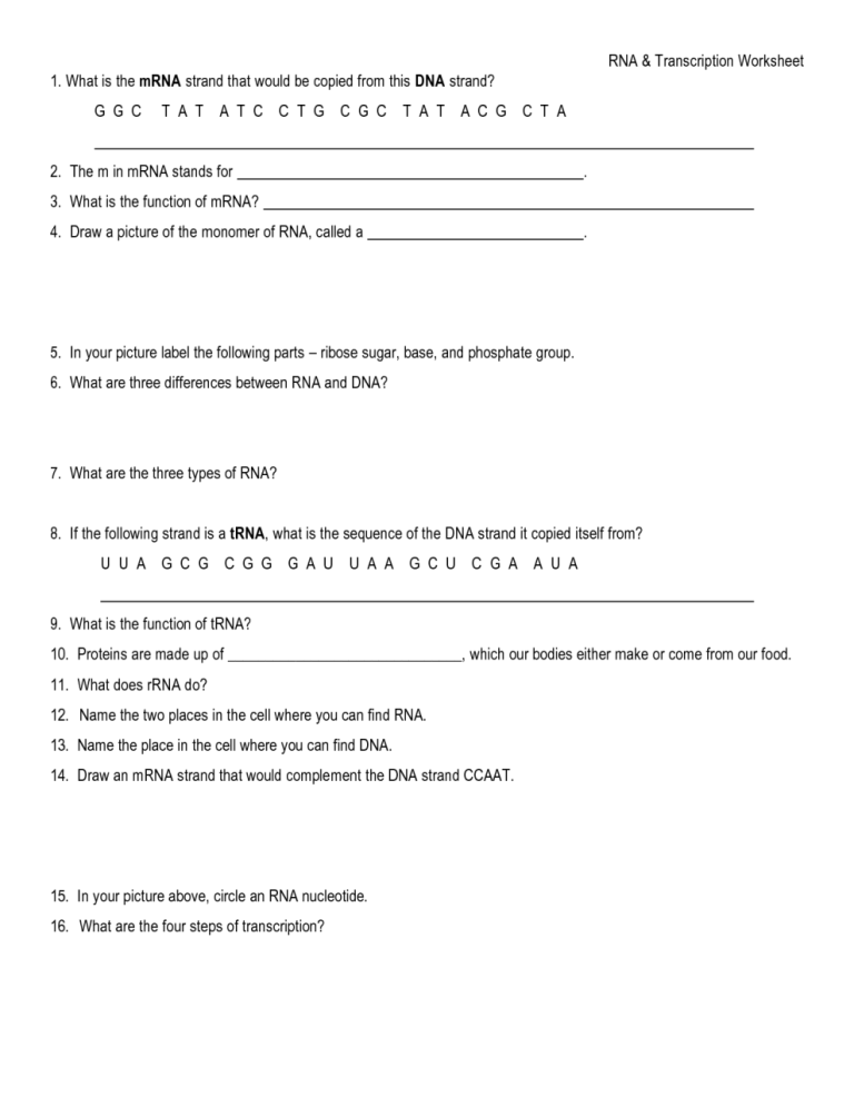 Worksheet On Dna Rna And Protein Synthesis Answers