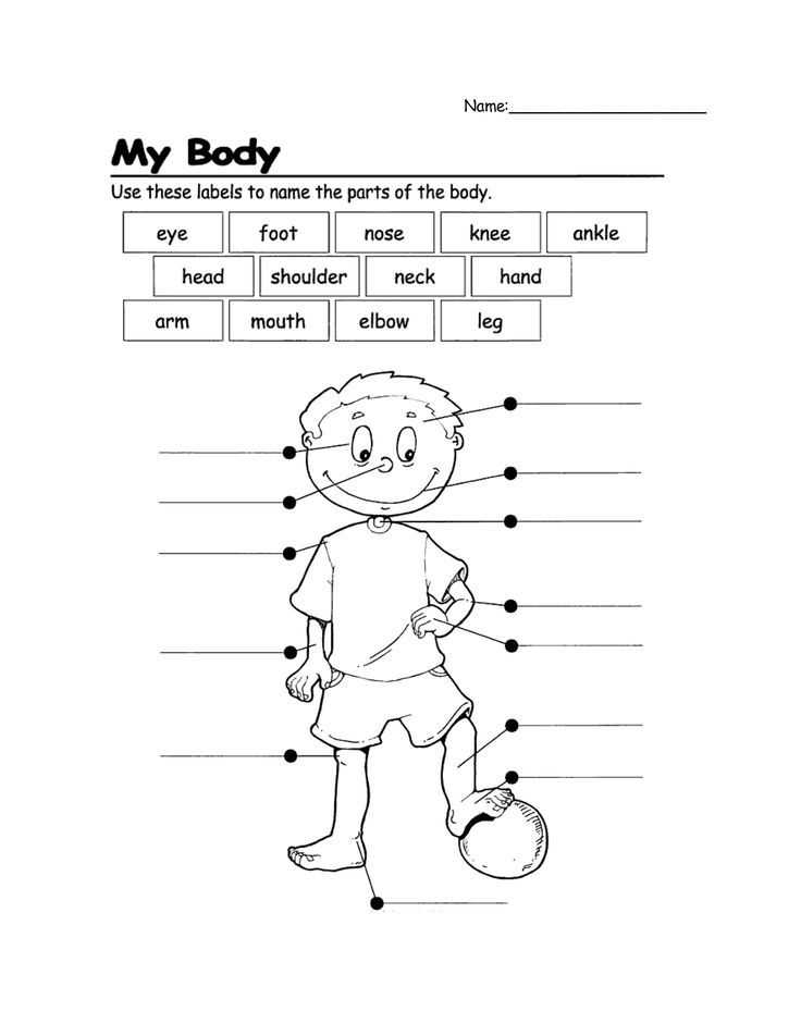 My Body Worksheet