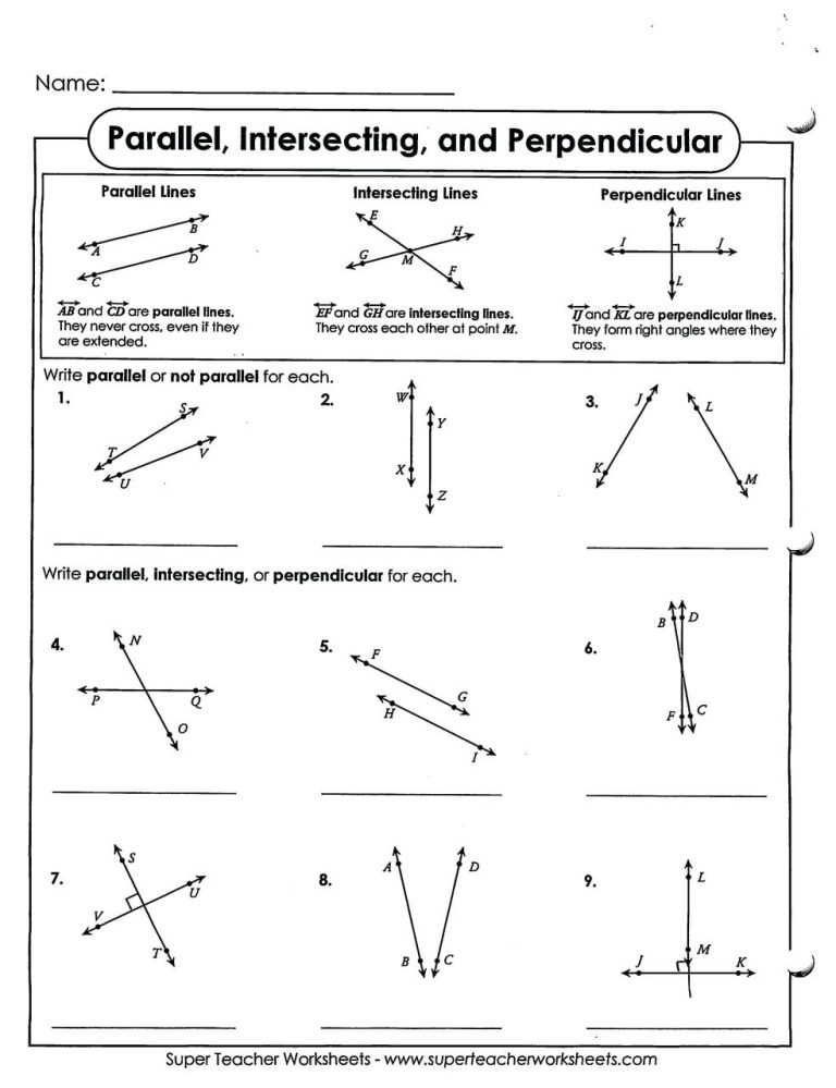 Parallel Lines And Transversals Worksheet Geometry