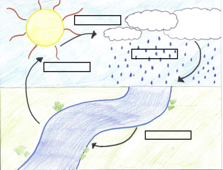 Blank Water Cycle Diagram Worksheet