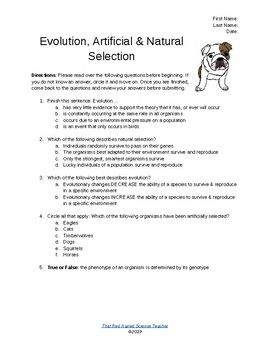 Natural Selection Worksheet Answers