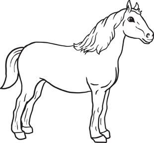 Colouring Horse