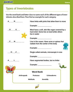 4th Grade Science Worksheets For Grade 3