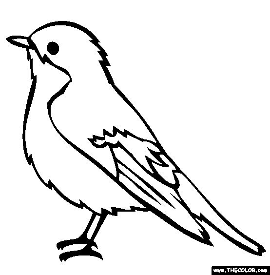 Bird Pictures To Color