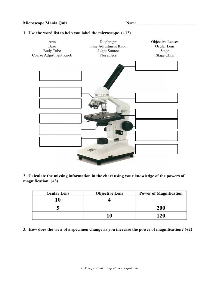 Microscope Worksheet Answers