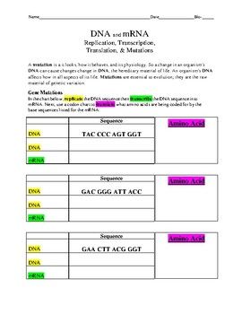 Transcription And Translation Practice Problems Worksheet