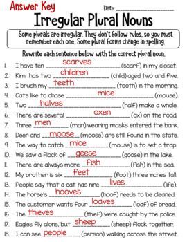 Plural Nouns Worksheet