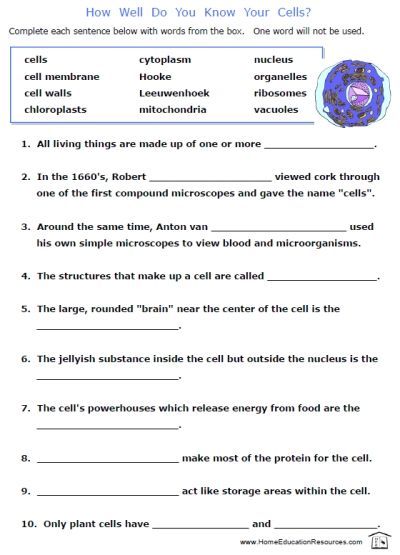 7th Grade Science Worksheets Free