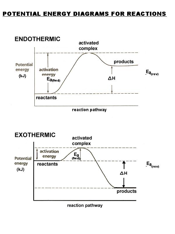 Potential Energy Diagram Worksheet Doc