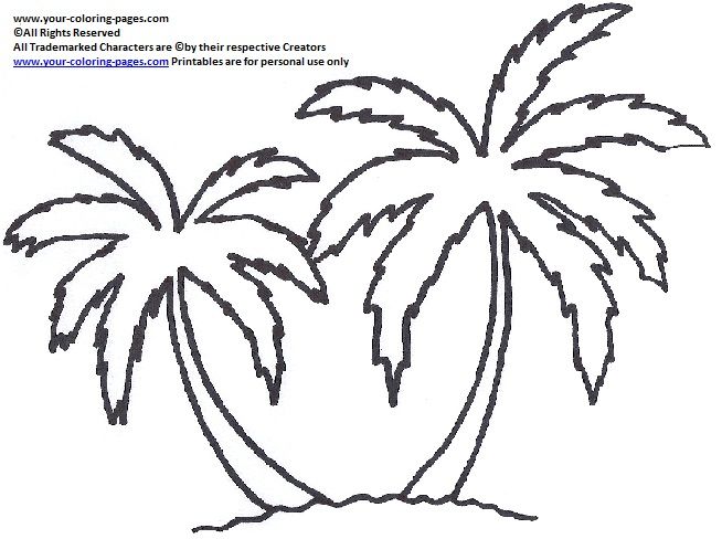 Palm Tree Coloring Pages