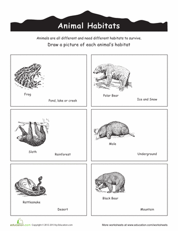 Animals Worksheet Habitat