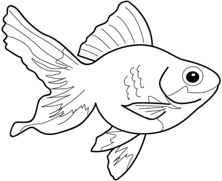 Coloring Fish