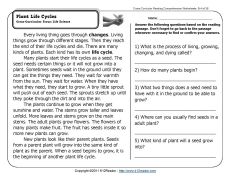 Free Reading Comprehension Worksheets For 2nd Grade