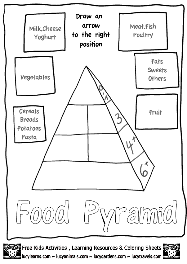 Food Pyramid Worksheet Pdf