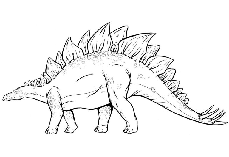 Stegosaurus Coloring Page