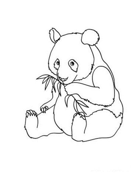 Panda Coloring Sheets