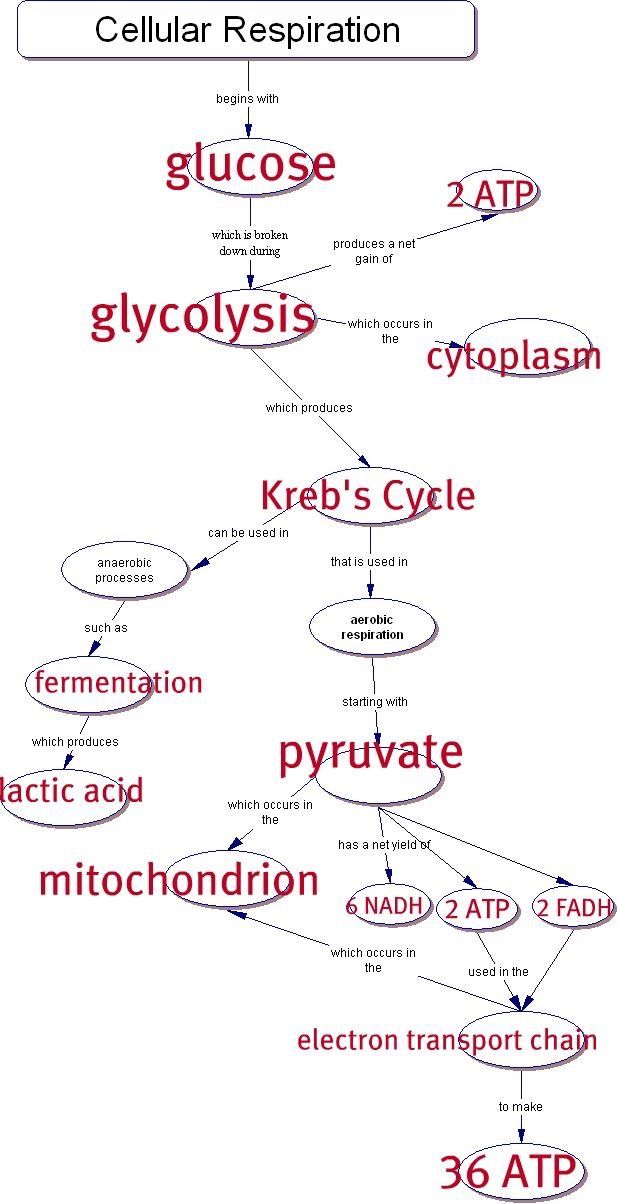 Phase Change Worksheet Quizlet