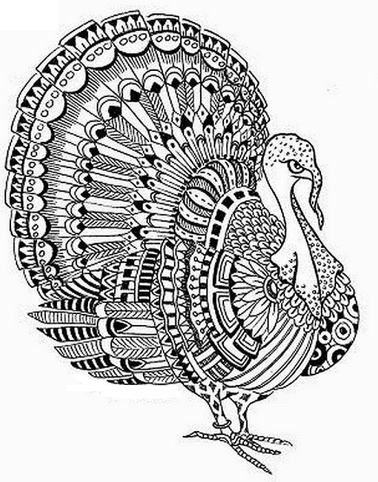 Turkey Coloring Pages For Adults