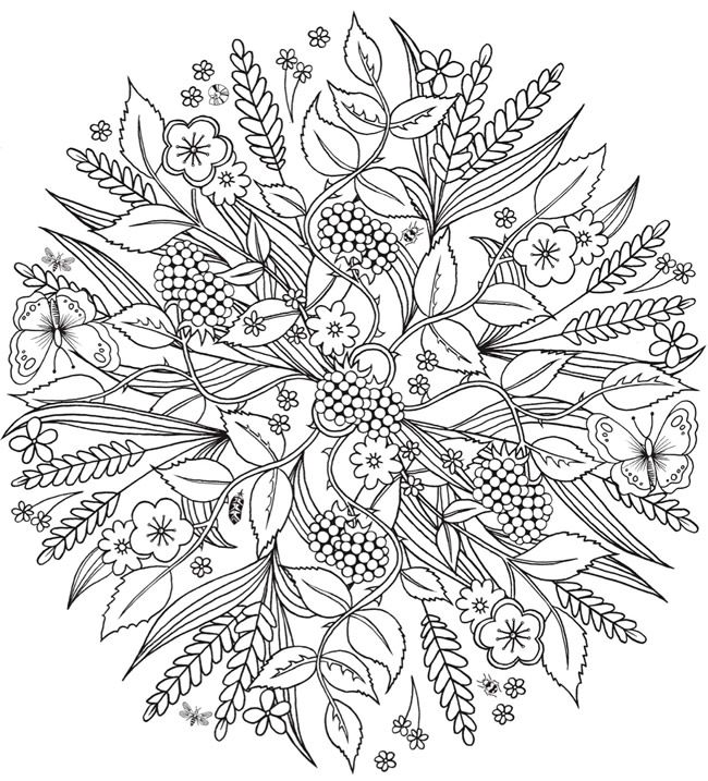 Nature Mandalas Coloring Book