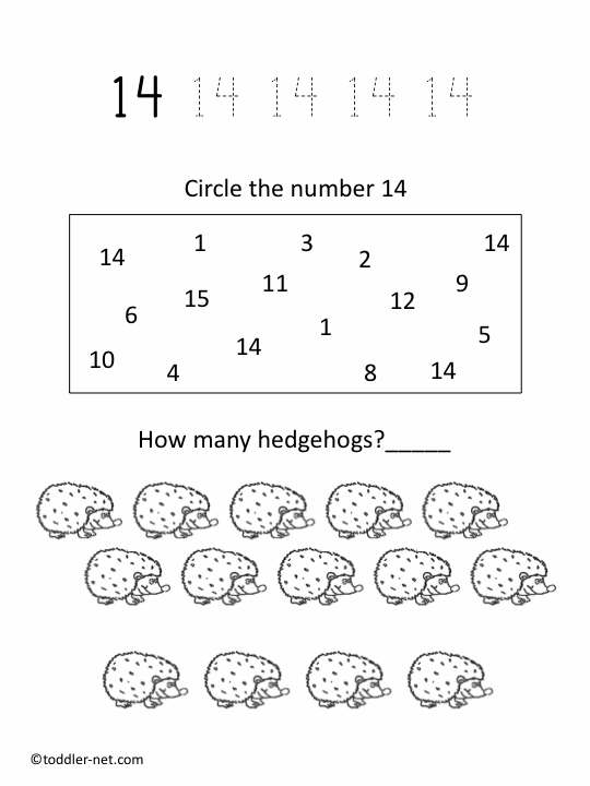 Numbers Worksheet