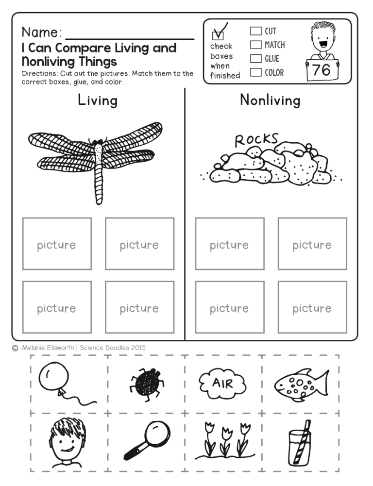 Free Science Worksheets