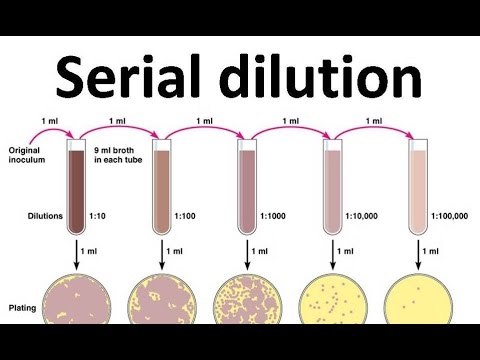 Dilutions Worksheet Microbiology