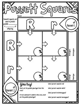 Monster Punnett Square Worksheet Answer Key