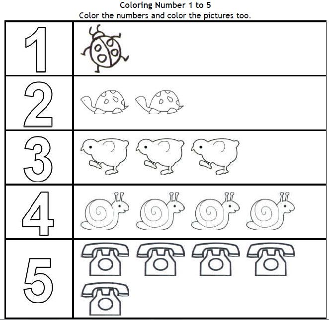 Pre K Numbers 1 5 Worksheets