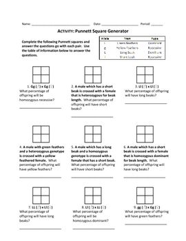 Punnett Square Worksheet 1 Answer Sheet