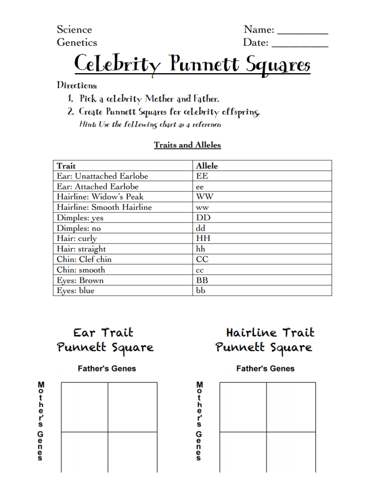 Blank Punnett Square Worksheet Pdf