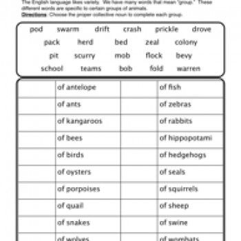 Collective Nouns Worksheet 2nd Grade