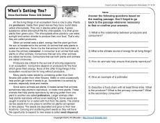 Science Reading Comprehension Worksheets 4th Grade