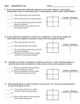 Worksheet Answer Punnett Square Exercises Answer Key