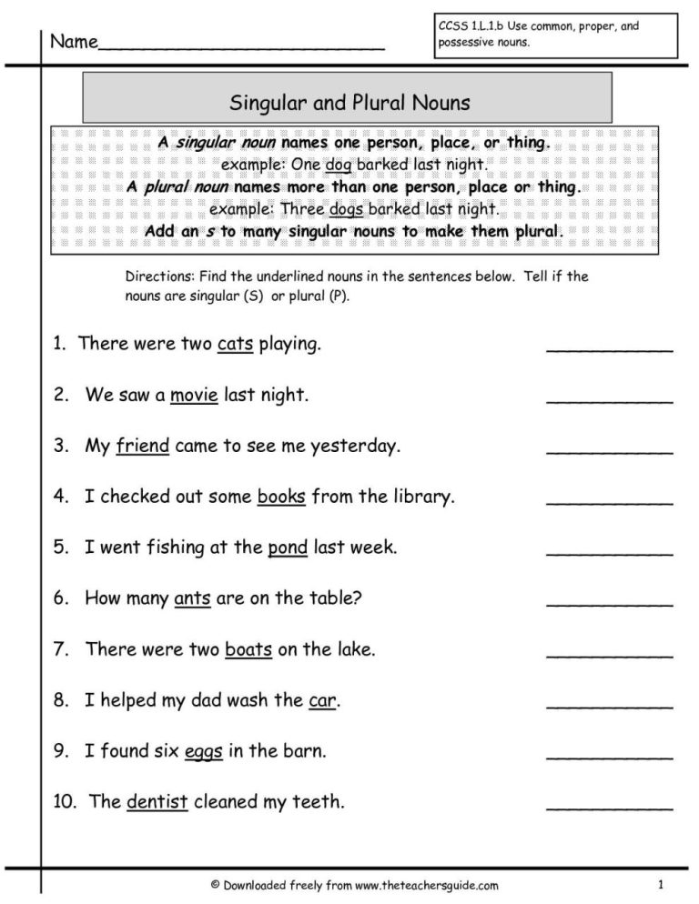 Plural Nouns Worksheet For Grade 2