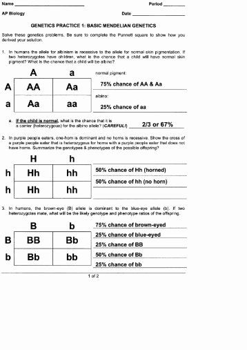 Answer Key Punnett Square Worksheet With Answers