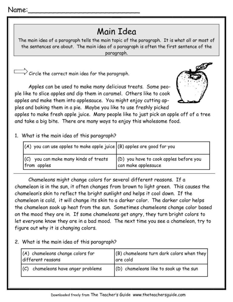 Main Idea Reading Comprehension Worksheets 3rd Grade